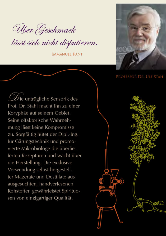 Imagebroschuere Prof. Stahl